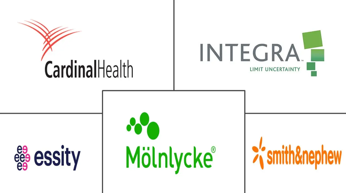 Pressure Ulcers Treatment Market Major Players